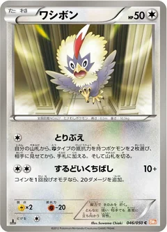 Rufflet 1St Edition 46