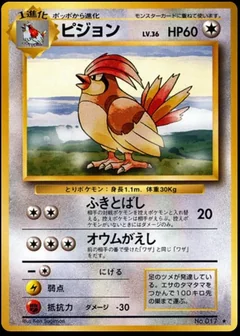Pidgeotto 17