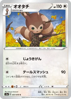 Furret 57