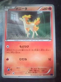 Ponyta 6
