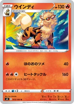 Arcanine 13