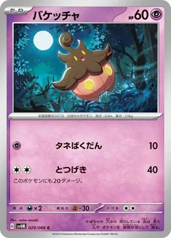 Pumpkaboo 29