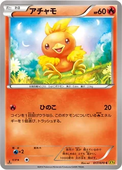 Torchic 17