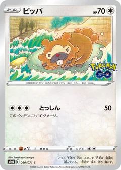 Bidoof 60