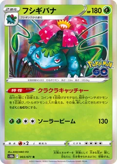 Venusaur 3