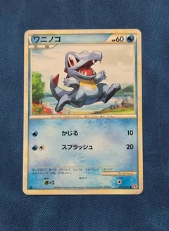 Totodile 1St Edition 22