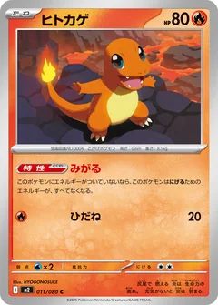 Charmander 11