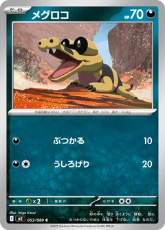 Sandile 53