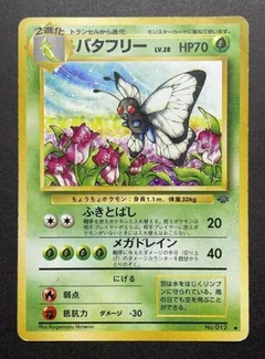 Butterfree 12
