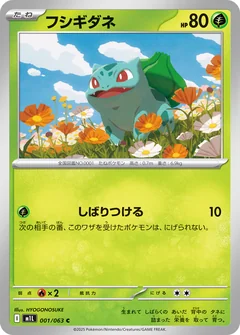Bulbasaur 1