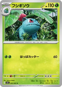 Ivysaur 2
