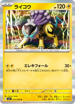 Raikou 30