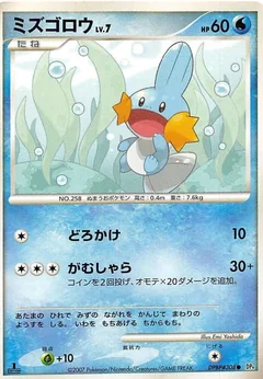 Mudkip 1St Edition