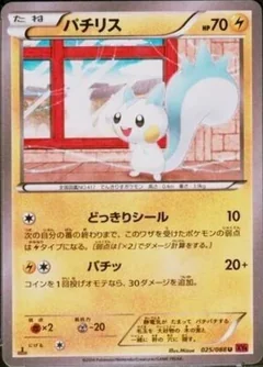 Pachirisu 1St Edition 25