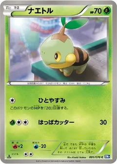 Turtwig 1