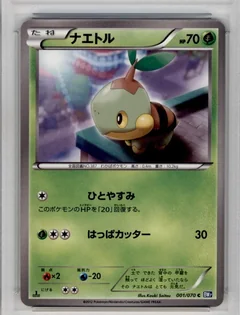 Turtwig 1St Edition 1