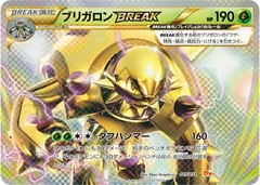 Chesnaught Break 15