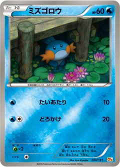 Mudkip 26