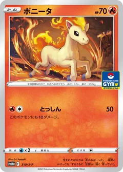 Ponyta 310S P