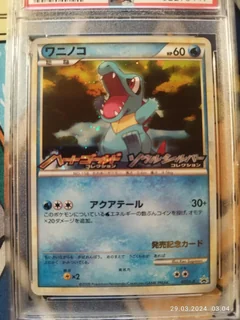 Totodile Holo 7L P