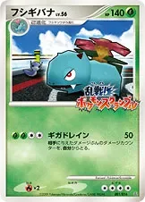 Venusaur 12P