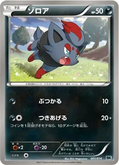 Zorua 116Bw P