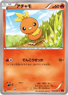 Torchic 12
