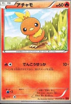 Torchic 1St Edition 12