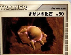 Skull Fossil 1St Edition