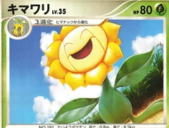 Sunflora 1St Edition