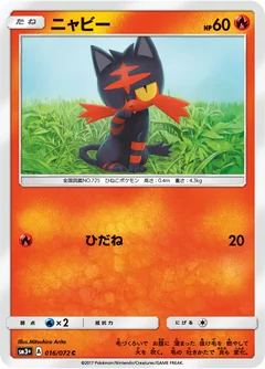 Litten 16