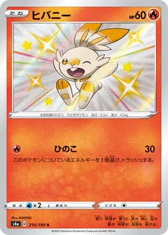 Scorbunny 214