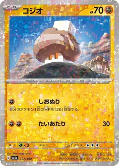 Nacli Reverse Holo 107