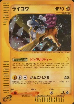 Raikou 1St Edition 39