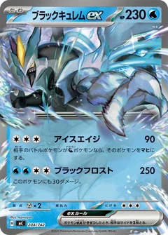 Black Kyurem Ex 204