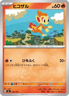 Chimchar 103