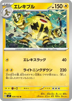 Electivire 29