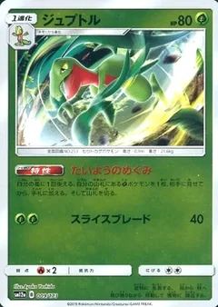 Grovyle Reverse Holo 9
