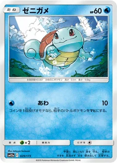 Squirtle 29