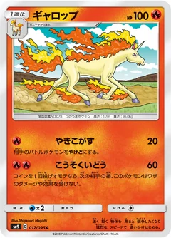 Rapidash 17