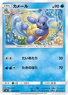 Wartortle 22