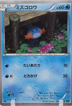 Mudkip 1St Edition 12