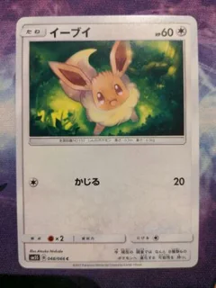 Eevee 48