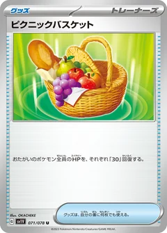 Picnic Basket 71