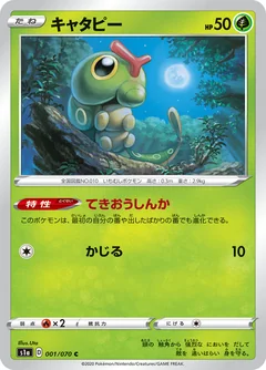 Caterpie 1