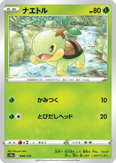 Turtwig 206