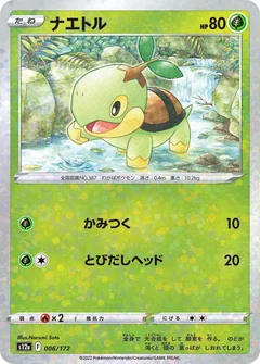 Turtwig Reverse Holo 6