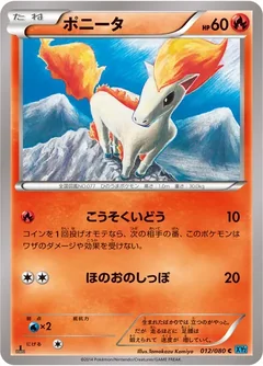 Ponyta 12
