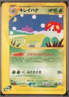 Bellossom 1St Edition 19