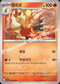 Combusken 19